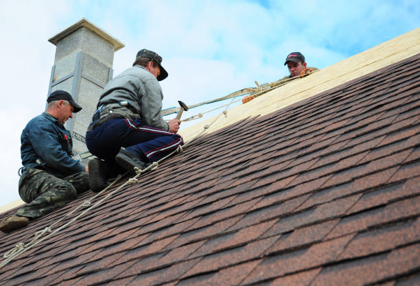 Best Roof Leak Repair  in Martinsville, NJ