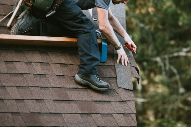 Best Roof Gutter Cleaning  in Martinsville, NJ
