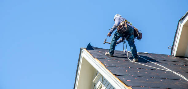 Best Roof Gutter Cleaning  in Martinsville, NJ